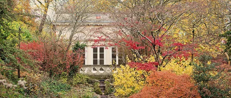 image of gardens in Bath with plants and flora. In the middle of the image there is a building with a bridge.