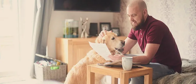 Man sat on sofa in living room working on paperwork with coffee and dog sat next to him.