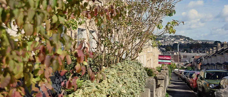 Landscape image of a pavement on a street in Bath with cars parked alongside it and estate agent signs.