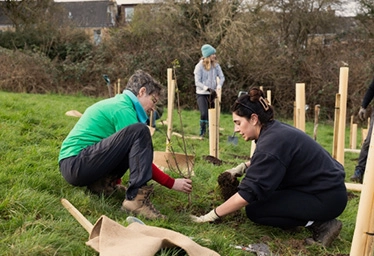 Planting trees