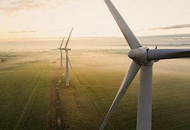 Windmills going into the distance